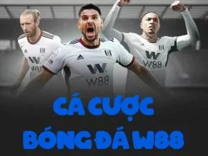 hướng dẫn cá cược bóng đá w88