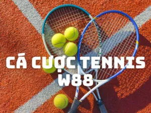 hướng dẫn cá cược tennis w88 cho những người chơi mới bắt đầu