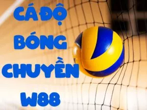 hướng dẫn cách chơi cá cược bóng chuyền w88