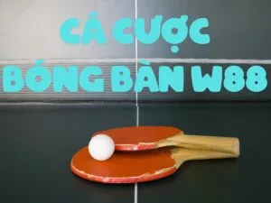 hướng dẫn chơi cá cược bóng bàn trên w88 một cách dễ hiểu nhất