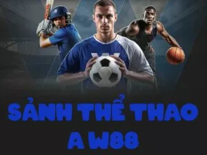 sảnh thể thao a w88 – sảnh chơi được lòng cược thủ nhất w88